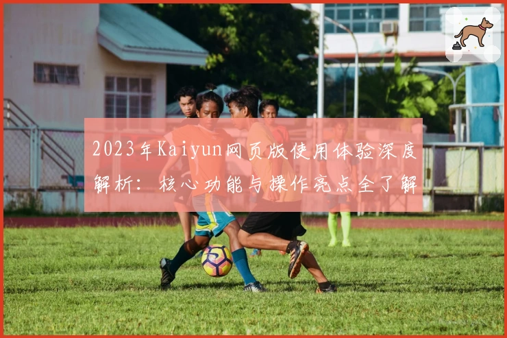 2023年Kaiyun网页版使用体验深度解析：核心功能与操作亮点全了解